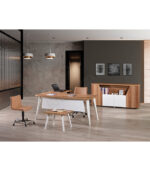 Truva Yönetici Takımı